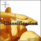 Distal Clavicle Fracture Classification