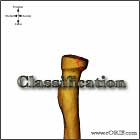 radial head fracture classification