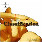 Distal Clavicle Fracture Classification Distal Clavicle Fracture Classification