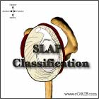 SLAP tear classification